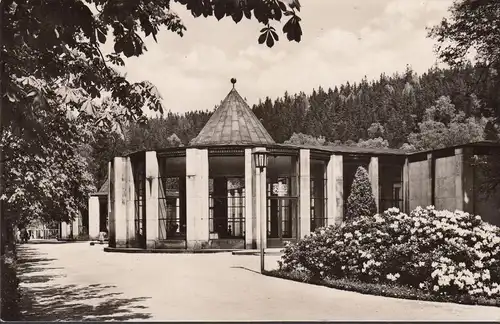 Bad Elster, Moritzquelle, gelaufen 1962