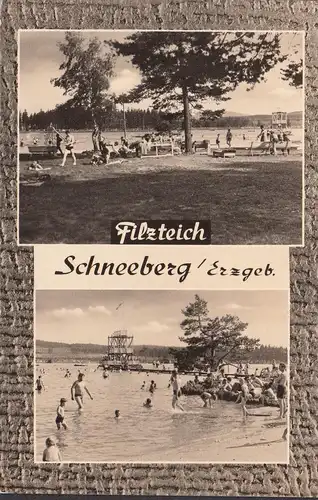 Schneeberg, Filzteich, Badende, gelaufen 1961