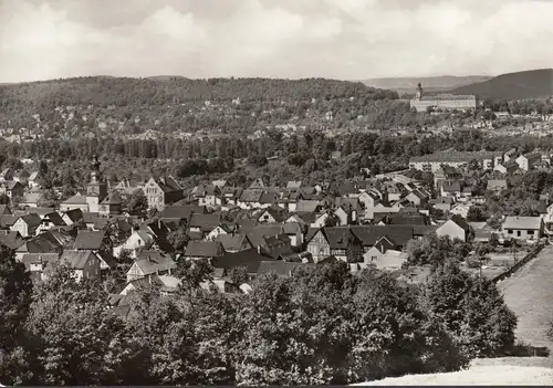 Rudolstadt, Stadtansicht, ungelaufen