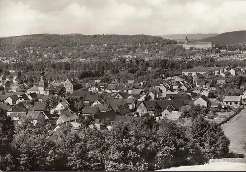 Rudolstadt, vue sur la ville, incurvée