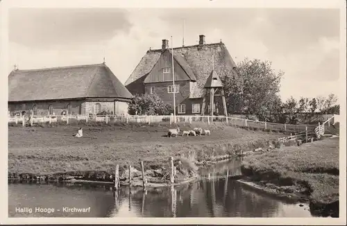 Hallig Hooge, Kirchwarf, ungelaufen