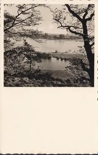 Lauenburg, Blick vom Sandkrughof über die Elbe, gelaufen 1962