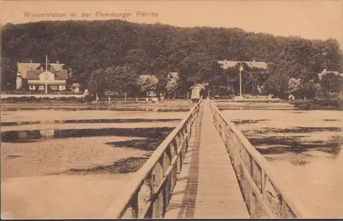 Flensburg, Wasserleben an der Flensburger Föhrde, gelaufen 1908