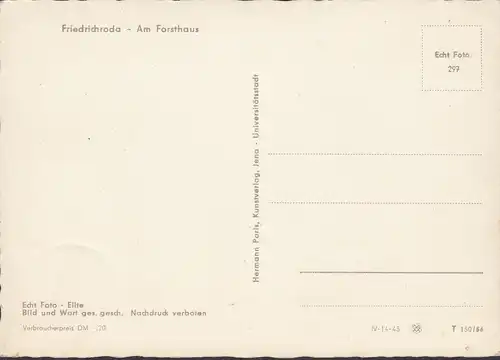 Friedrichroda, Am Forsthaus, Schafe, ungelaufen