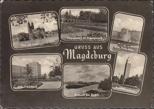 Magdeburg, Ausstellungsturm, Rosengarten, Dom, gelaufen