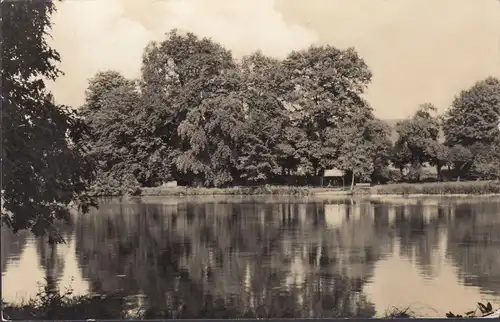 Bischheim, Im Volkspark, gelaufen 1971