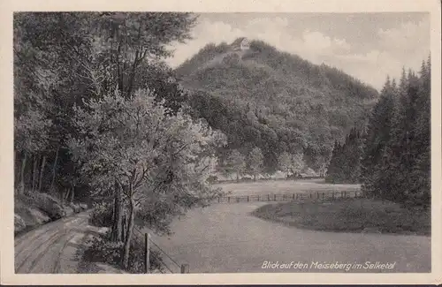 Blick auf den Meiseberg im Selketal, ungelaufen