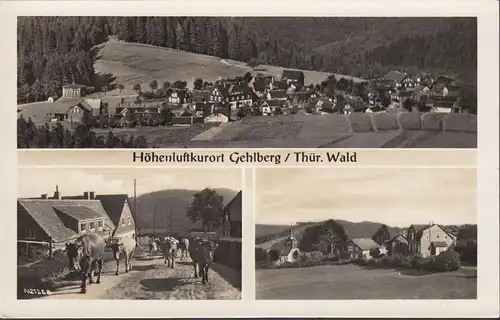 Gehlberg, vue de la ville, vaches, incurvées