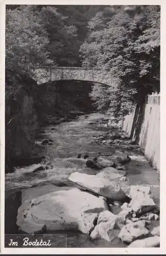 Dans la vallée de Bode, pont, incurvé