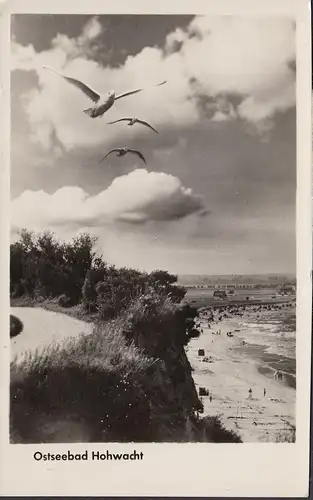 Bain de la mer Baltique Hohwacht, plage et mouettes, couru en 1955