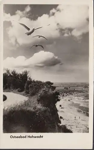 Ostseebad Hohwacht, Strand und Möwen, gelaufen 1955