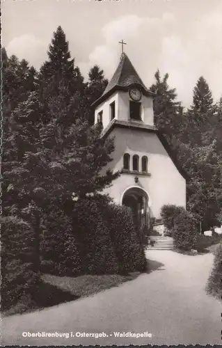 Château des ours, chapelle des bois, incurvée