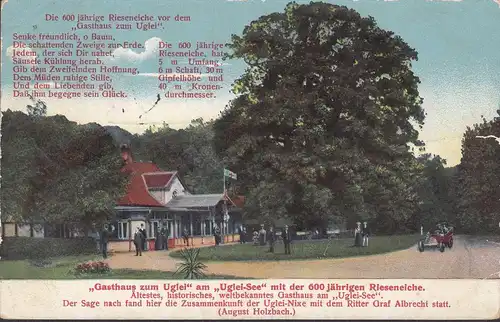 Eutin, Gasthaus zu Uglei, Rieseneiche, Feldpost, gelaufen 1915