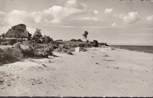 Kronsgaard, Pottloch, plage, maison de toits, couru 1961