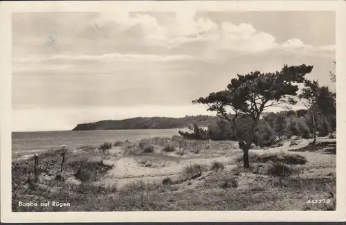 Baabe auf Rügen, Küstenansicht, gelaufen 1956