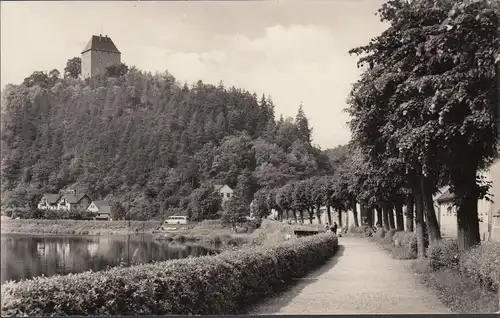 Recul de chèvre, Dr Reif Promenade, couru en 1960