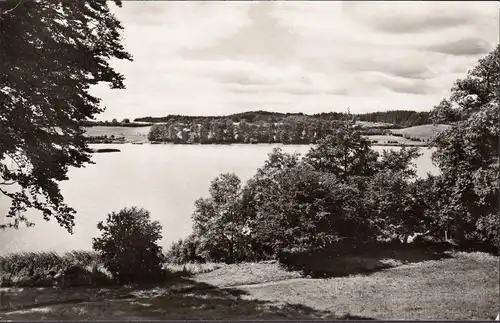 Nettelsee, Blick auf den Nettelsee, gelaufen