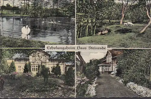 Nienborstel, Erholungsheim Haus Steinrade, Teich, Park, Gebäudeansichten, gelaufen 1967