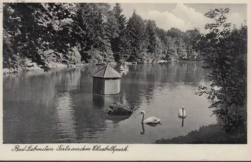 Bad Liebenstein, Partie aus dem Elisabethpark, Bahnpost, gelaufen 1936