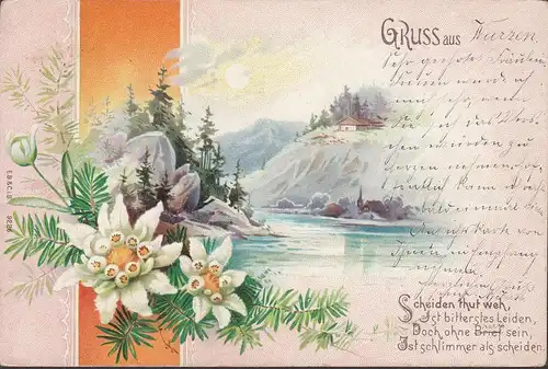 Gruss aus Wurzen, Scheiden tut weh, gelaufen 1900