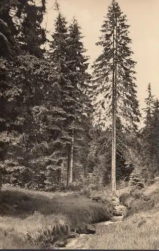 Neuhaus am Rennweg, Obere Steinach im Wächtersgrund, ungelaufen