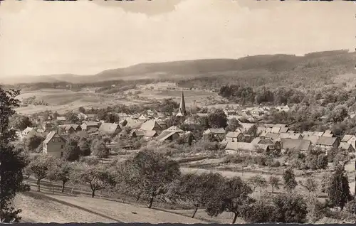 Neustadt/ Harz, Stadtansicht, ungelaufen