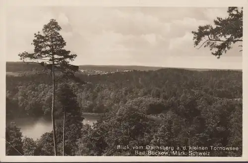 Blick vom Dachsberg auf den kleinen Tornowsee und Bad Buchow, ungelaufen