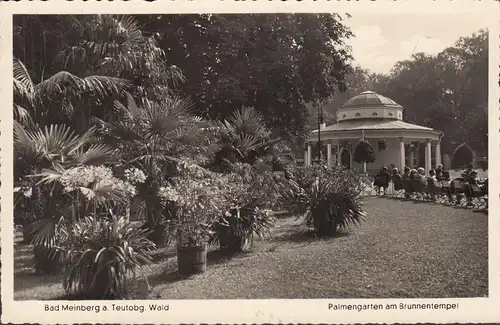 Bad Meinberg, Palmengarten am Brunnentempel, ungelaufen