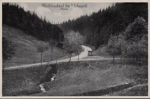 Wolfsbachtal bei Hohegeiß, Auto, ungelaufen
