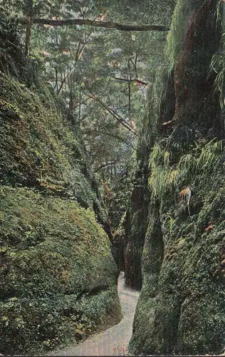 Eisenach, Die Drachenschlucht, Feldpost, gelaufen 1917