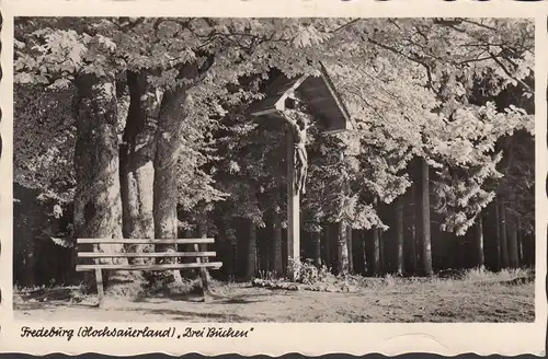 Bad Fredeburg, Drei Buchen, ungelaufen