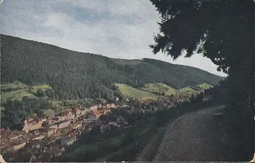 Bad Wildbad, Blick vom Panoramaweg, gelaufen