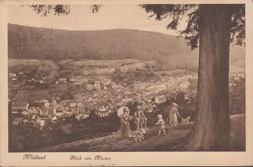 Bad Wildbad, Blick von Westen, gelaufen 1911