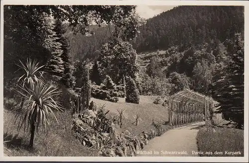 Bad Wildbad, Partie aus dem Kurpark, ungelaufen