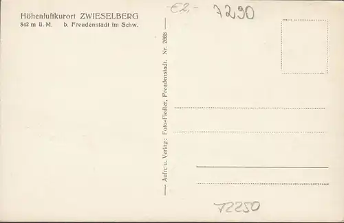 Zwieselberg, Freudenstadt, Panoramaansicht, ungelaufen