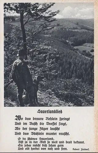 Cantique de Sauerland, où le cerf brun saute, Robert Zünderorf, incurable