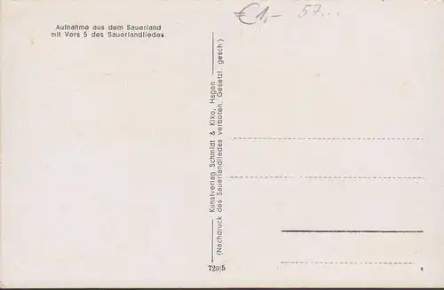 Cantique de Sauerland, où le cerf brun saute, Robert Zünderorf, incurable