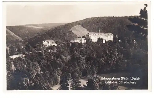 AK Schwarzburg, Schloß und Hirschwiese, gel.