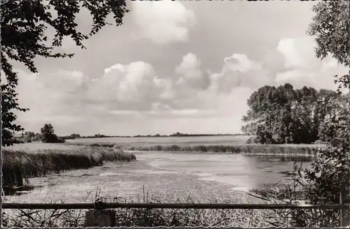 Cismar, forêt, étang de moulin, non-roulé