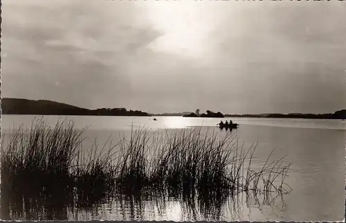 Malente, Abendstimmung am Dieksee, Ruderboot, gelaufen 1960