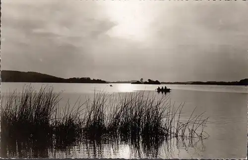 Malente, ambiance nocturne au lac de Diek, bateau à rames, couru 1960