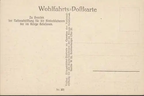 AK Drzewica, Zerstörte Ortschaft, Foto Arzt Dr. Eich, ungelaufen