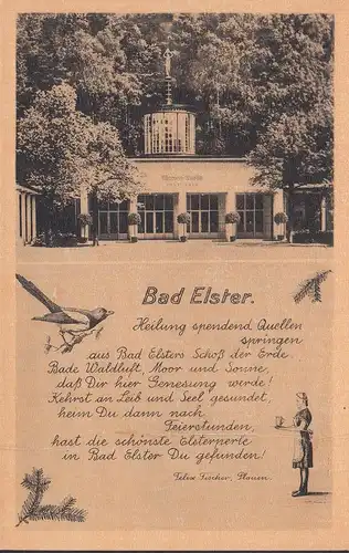 Bad Elster, source de Marie, sources de guérison donnant, incurable