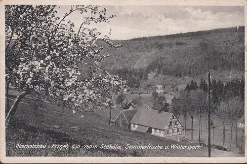 Oberholzhau, Talansicht, gelaufen