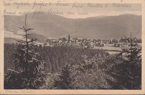 Winterber, Panoramaansicht, Bahnpost, gelaufen