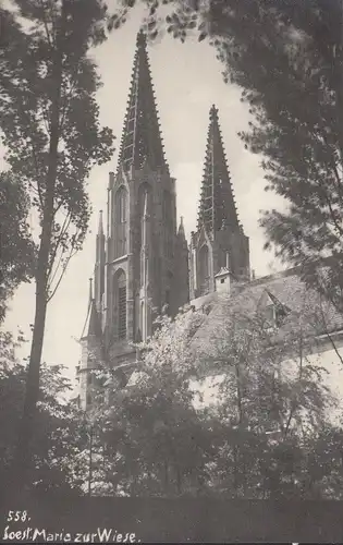 Soest, St. Maria zur Wiese, Foto- AK, ungelaufen