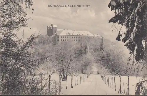 Ballenstedt, Schloß Ballenstedt im Winter, gelaufen 1914