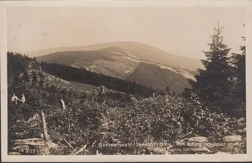 AK Bohmerwald-Seewald, Vu de la pente de l'Osser, couru en 1927