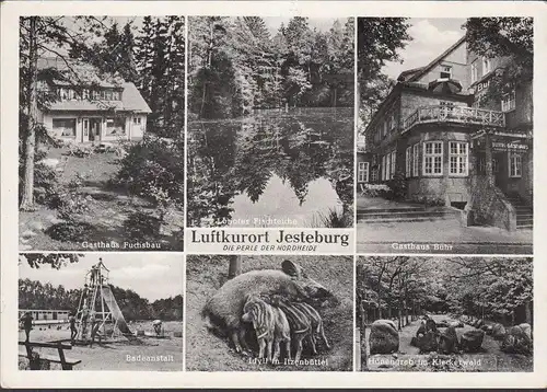 AK Jesteburg, Gasthaus Fuchsbau, Auberge Buhr, Badanstalt, Hünengrab, inachevé