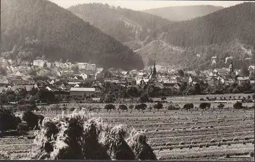 AK Friedrichroda, Panoramaansicht, ungelaufen